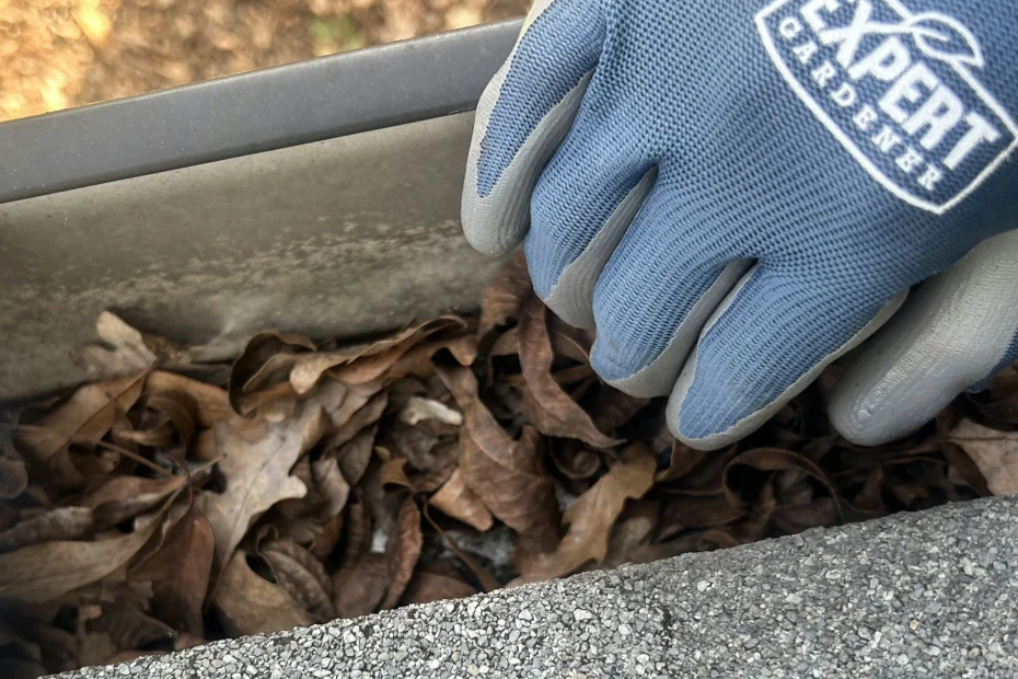 Gutter Cleaning Bay Harbor Islands FL